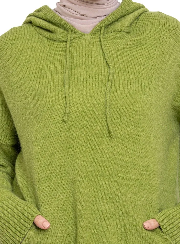 Apple Hoodie Pullover