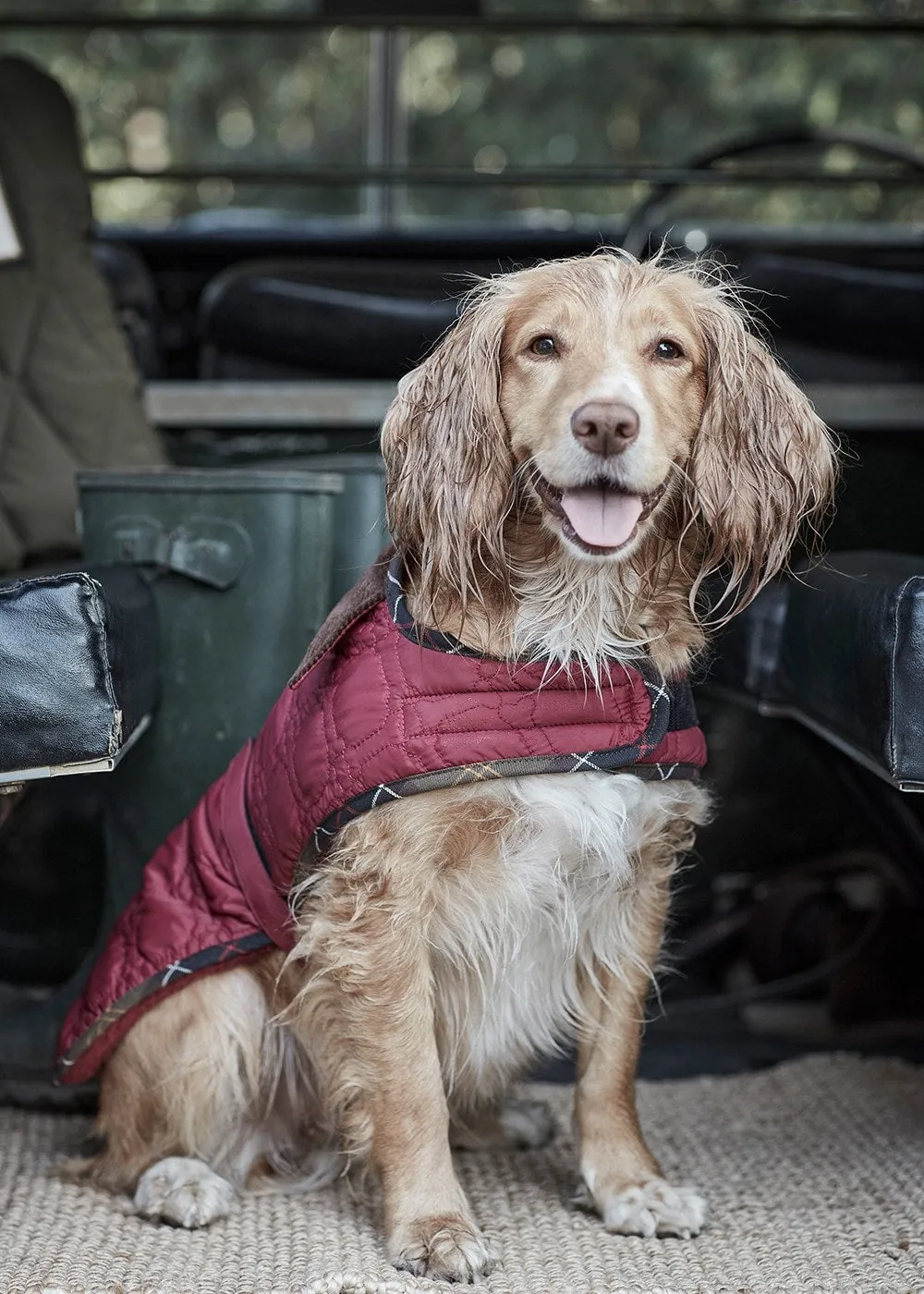 Bone Quilted Dog Coat