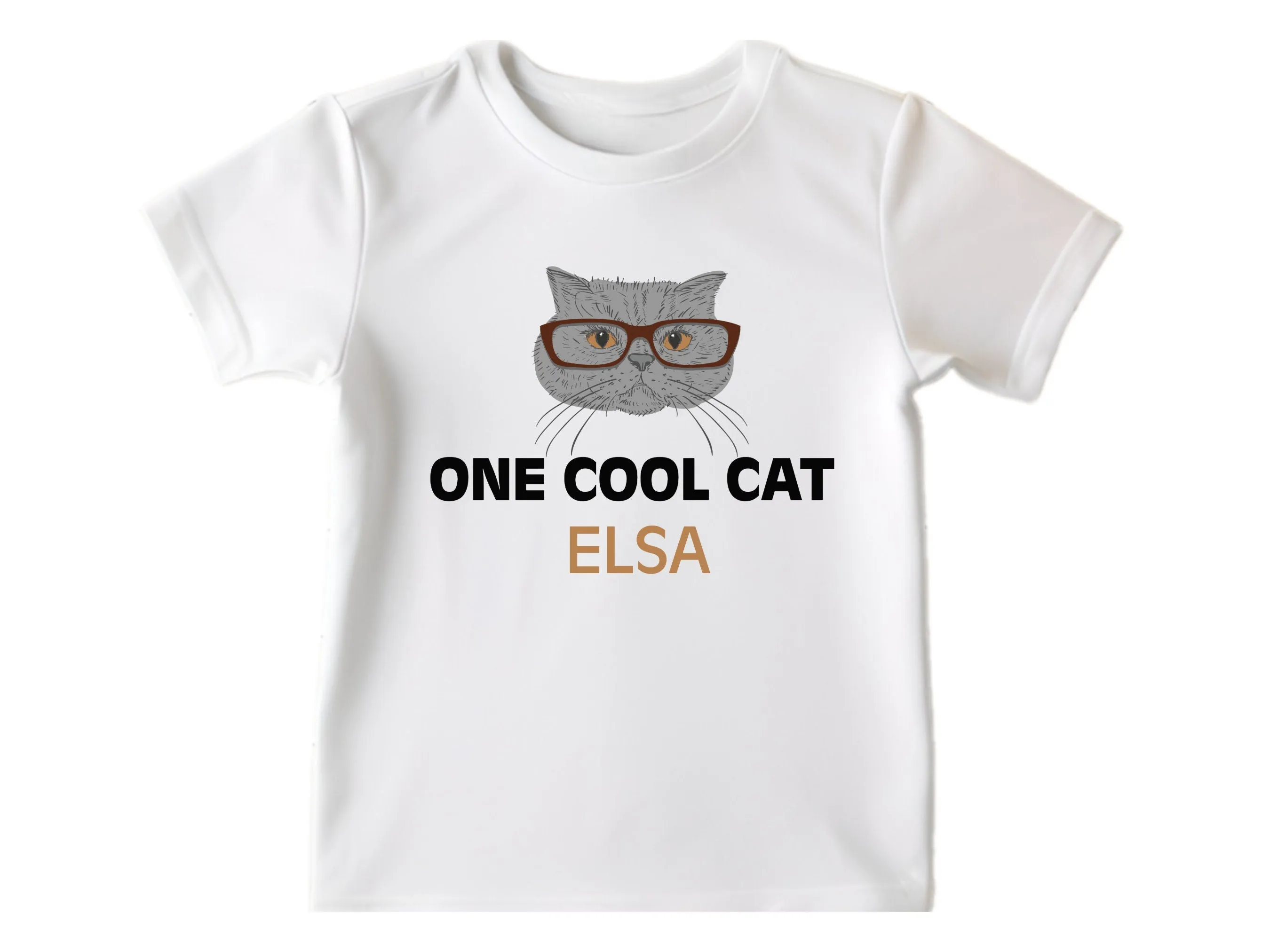 Personalized Name Birthday Boys Bodysuit Gift, One Cool Cat Design