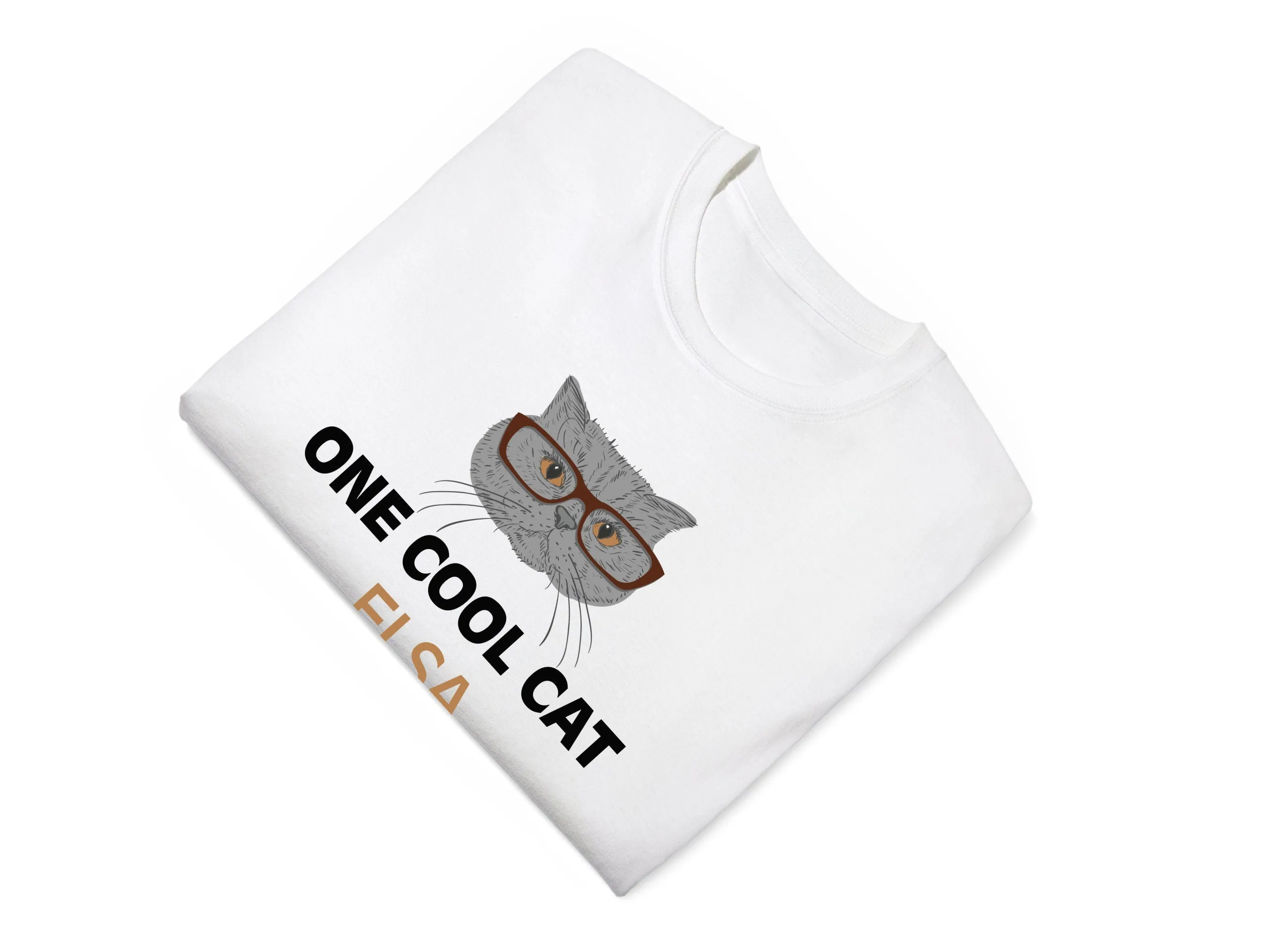 Personalized Name Birthday Boys Bodysuit Gift, One Cool Cat Design